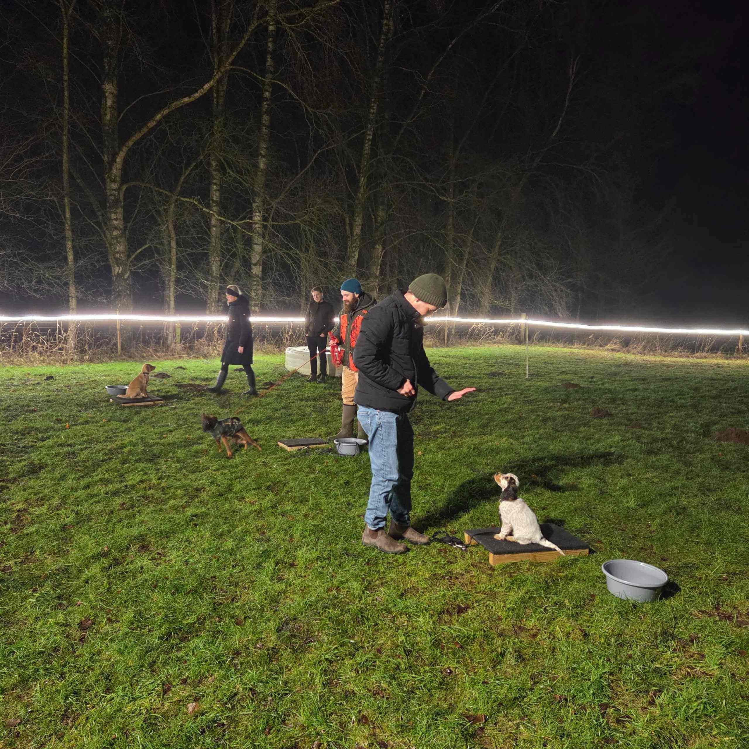 Lysbane hundetræning